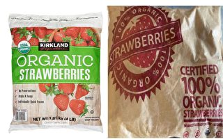 草莓致美国爆发甲肝 加拿大正在调查
