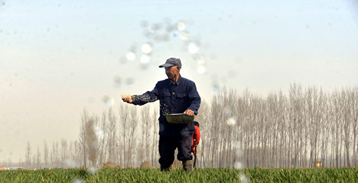 农民不愿种地 中国粮食安全问题严峻