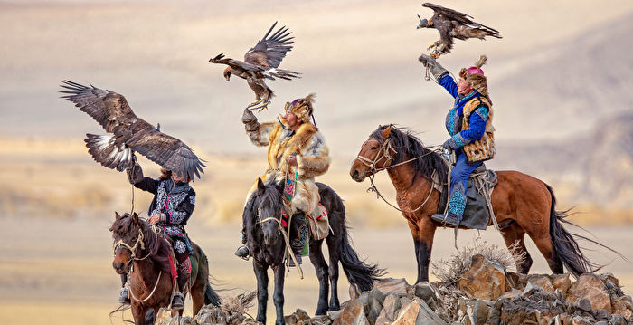 组图：蒙古驯鹰猎人与猛禽之间的珍贵情谊
