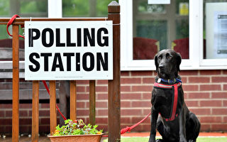英国今年地方选举投票需出示身份证明