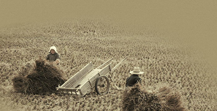 【财商天下】最大米荒席卷全球 谁受影响最大?