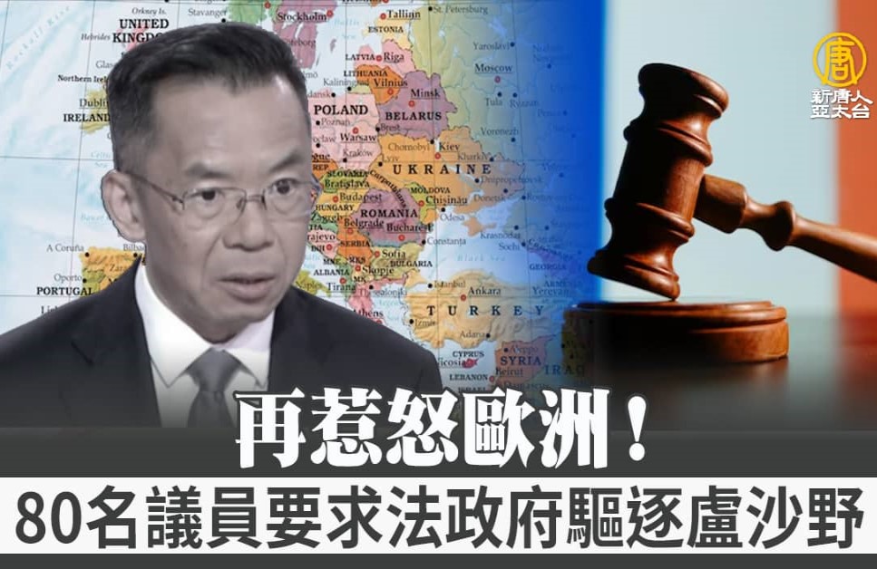 杨威：卢沙野又撒野中共危机处理手法蹩脚| 外交| 习近平| 克里米亚| 大纪元