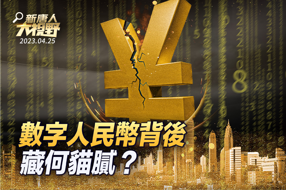【新唐人大视野】数字人民币背后藏何猫腻？ | 中共| 支付平台| 大紀元