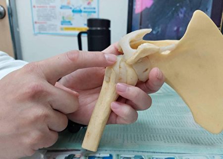 羅浩儒醫師表示，旋轉肌袖破裂原因很多，退化或運動傷害都是造成的原因。
