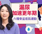 漏尿不再尷尬！除了針灸中藥 還有6種骨盆運動