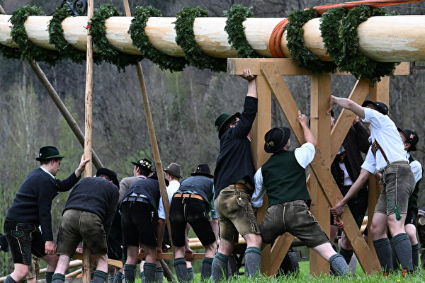 組圖：德國民眾舉行傳統儀式 豎立五朔節花柱