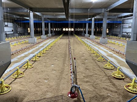 养禽场改建成非开放式禽舍，除了加速家禽产业转型成现代自动化，亦可解决农业缺工及降低养禽场感染禽流感之风险。