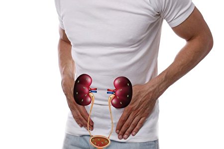 4個信號是腎臟在求救 醫師：護腎這7件事很重要