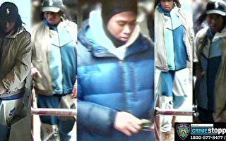 纽约市警方寻找D车地铁抢项链嫌犯