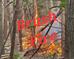 防野火 新英格蘭地區發布紅色警報