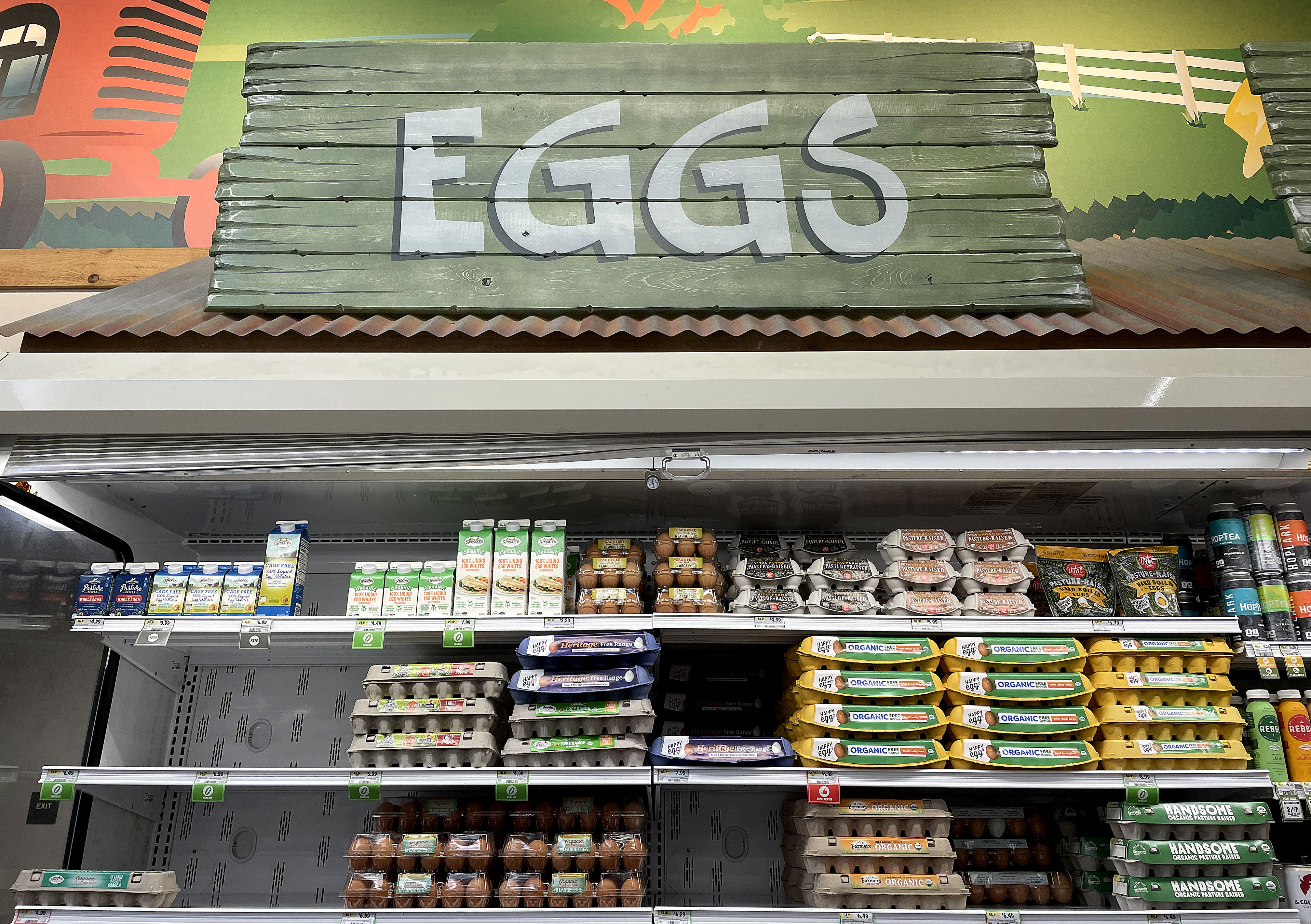 美国鸡蛋价格为何回落？专家解释