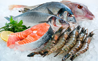 昆州取締刺網捕魚 科學家擔心魚價飆漲