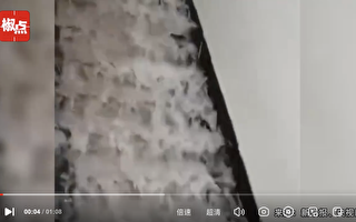 桂林暴雨成灾 大量汽车泡水 楼梯变成瀑布