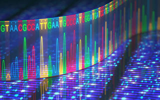 科學家發布新版基因組 關注人類DNA多樣性