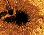 美拍攝最新太陽圖片 利用AI預測太陽風暴