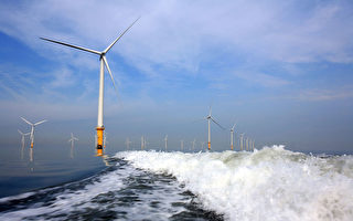 风力首次成为英国最主要电力来源