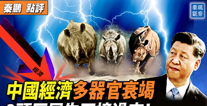 【秦鹏观察】中国经济多器官衰竭 3灰犀牛撞来