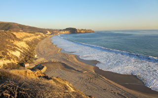 女子在中加州海滩发现古象齿化石