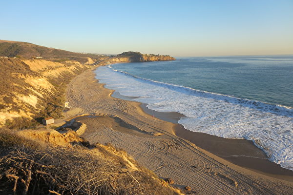 女子在中加州海灘發現古象齒化石