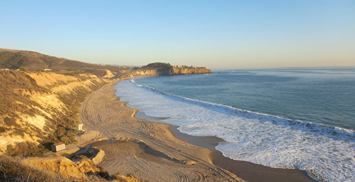 女子在中加州海滩发现古象齿化石
