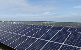 加州太阳能农场 对居民和生态环境构成威胁