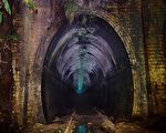 澳洲廢棄鐵路隧道內螢火蟲作秀 如繁星點點
