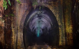 澳洲废弃铁路隧道内萤火虫作秀 如繁星点点