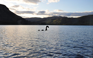 愛爾蘭男子稱目擊尼斯湖水怪 公布畫面為證