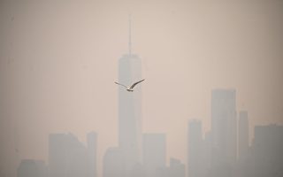 紐約等大城市煙塵漫天 美發布空氣質量警報