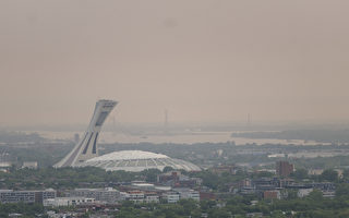 欧盟数百名消防员助加拿大扑灭野火