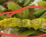 袁斌：上次是“指鼠为鸭”，这次会是指虫为何？