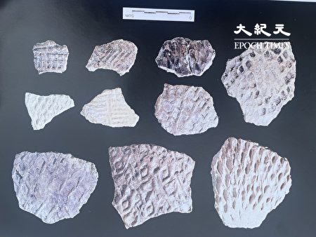 專家學者探勘發現，陶器、石器等文物，經判定與十三行文化同期。