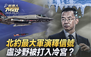 【新唐人大視野】25國空中軍演 北約史上最大