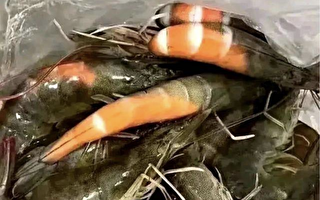 廣東高溫 網民：買的活蝦還沒到家就熟了