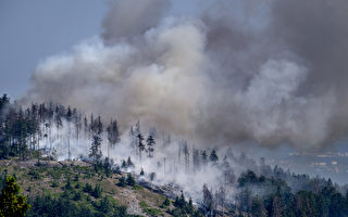 韩国消防员抵达渥太华 帮助抗击山火