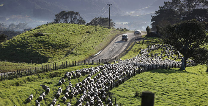 GDP连续两季负增长 新西兰陷入经济衰退