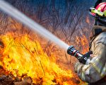 12消防員死於森林大火 隊長憑逆思維獲救（3）