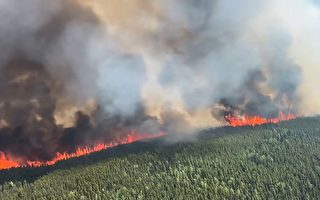 魁北克森林大火仍在烧 小镇居民祈祷下雨