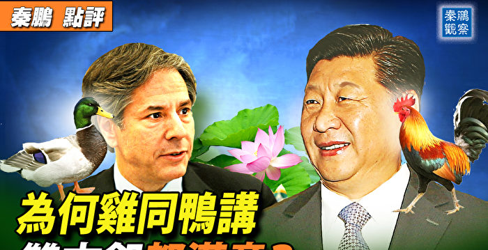 【秦鹏观察】为何鸡同鸭讲 美中却都满意?