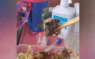 重庆市民在一食堂饭菜中吃出老鼠头
