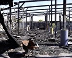 加州倉庫遭遊民闖入起火 百萬損失誰買單？