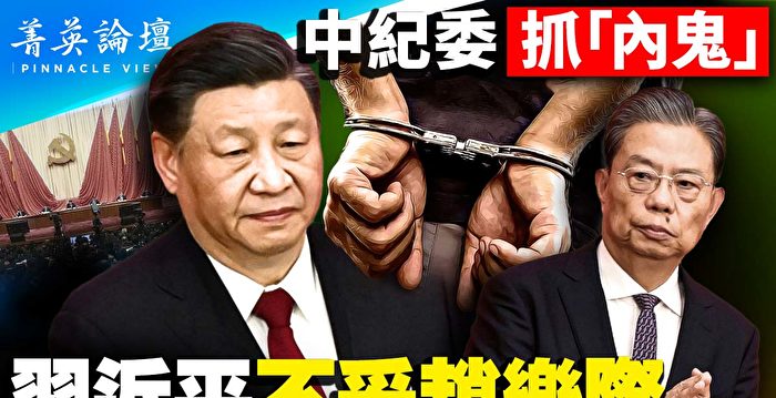 【菁英论坛】中纪委抓“内鬼” 盯上赵乐际？