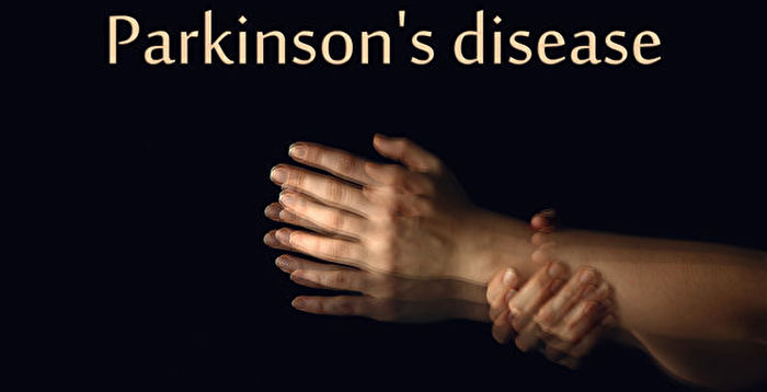 Early Hallucinations in Parkinson’s Disease: A Sign to be Taken Seriously