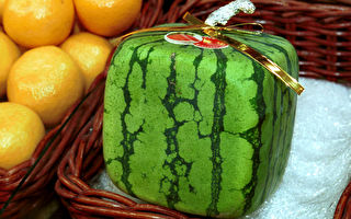 日本特產「方形西瓜」開始供貨 每顆70美元