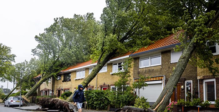 罕见夏季风暴袭荷兰 大树连根拔起至少1死