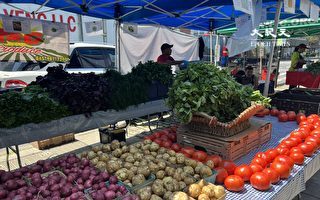 法拉盛农夫市场重开 供应上州最肥沃农场蔬果