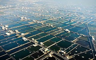 屏东县养殖渔业登记证有效年限放宽为10年