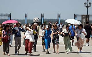 南歐多國遭熱浪侵襲 西班牙地表60℃