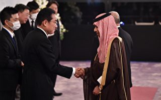 日本沙特將聯手開發稀土資源 降低對華依賴