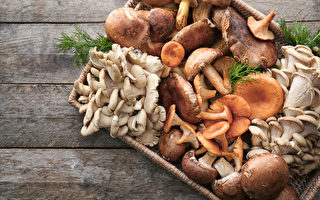 蘑菇品種多 吃蘑菇真的不能錯過這幾種